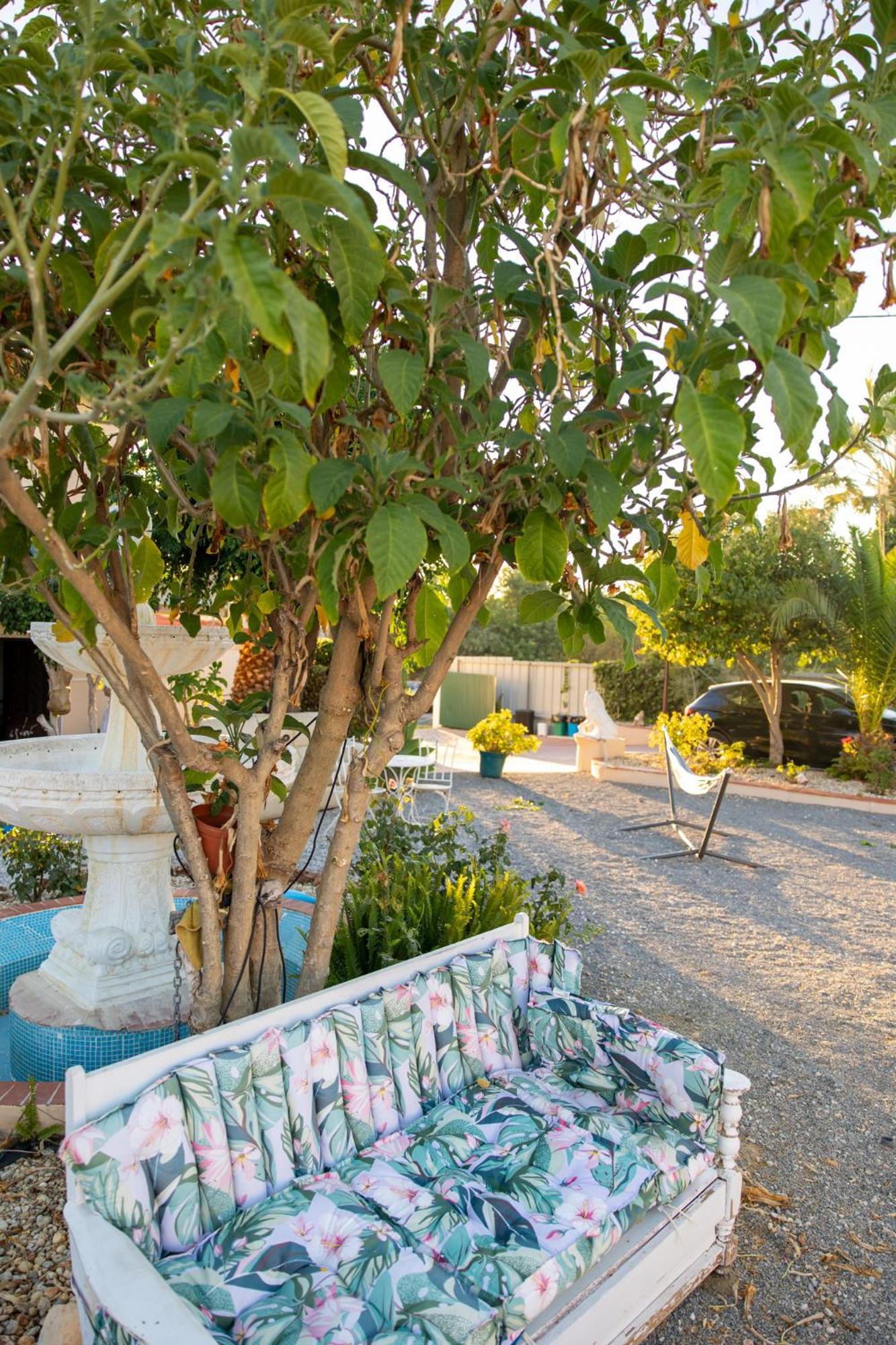 Bela Alexandra Guest House Fuzeta Exterior foto